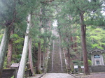 7.4.20 004.jpg